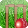 Cricket Umpire Icon
